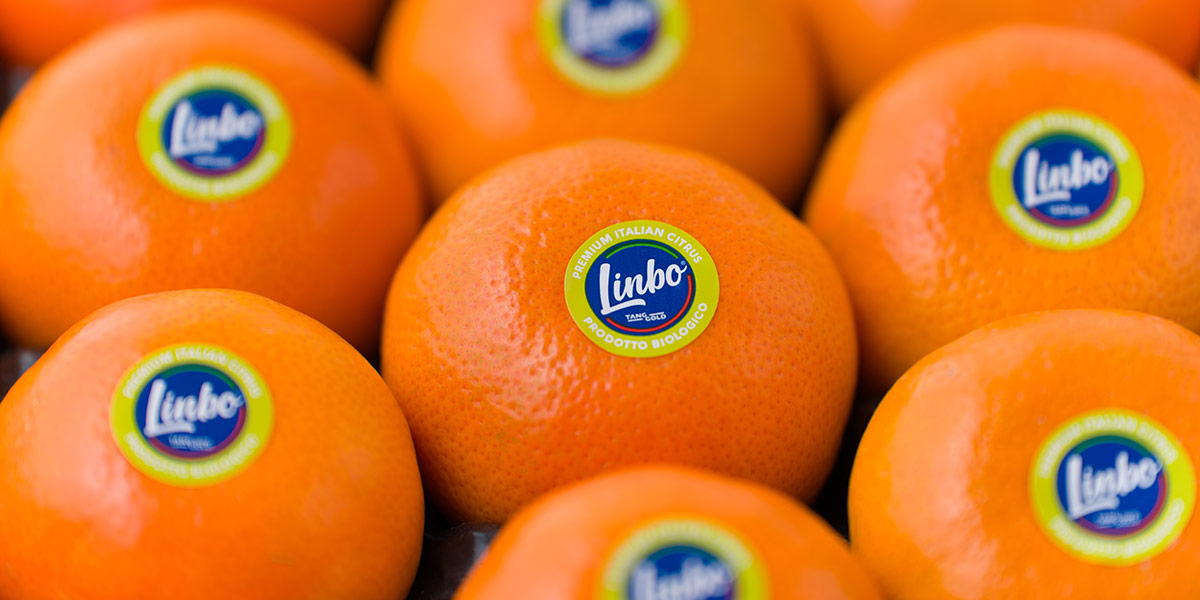 Linbo, nuove varietà per nuove strategie 